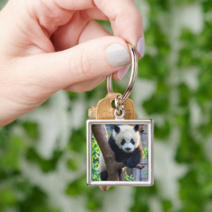 Cutest Baby Animals   Giant Panda Cub Key Ring