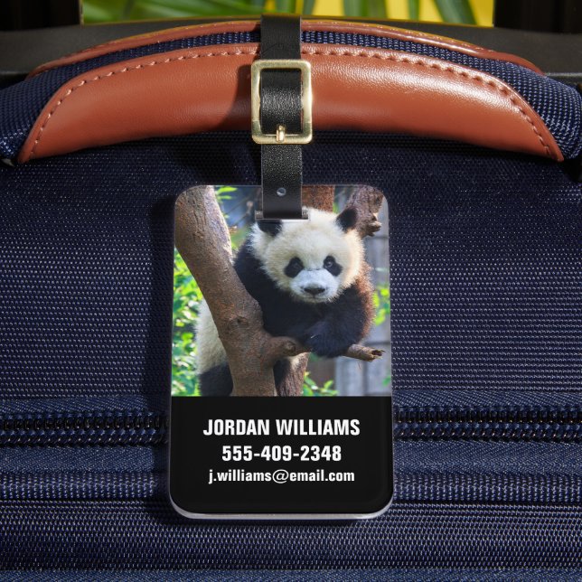 Cutest Baby Animals | Giant Panda Cub Luggage Tag (Front Insitu 2)