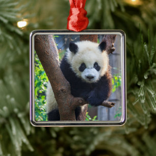 Cutest Baby Animals   Giant Panda Cub Metal Tree Decoration