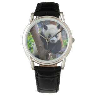 Cutest Baby Animals   Giant Panda Cub Watch
