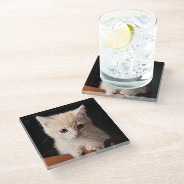 Cutest Baby Animals | Ginger Kitten Glass Coaster (Angled)