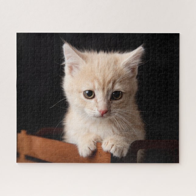 Cutest Baby Animals | Ginger Kitten Jigsaw Puzzle (Horizontal)