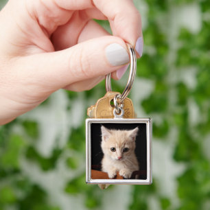 Cutest Baby Animals Ginger Kitten Key Ring