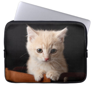 Cutest Baby Animals   Ginger Kitten Laptop Sleeve