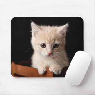 Cutest Baby Animals   Ginger Kitten Mouse Pad