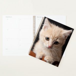 Cutest Baby Animals Ginger Kitten Planner