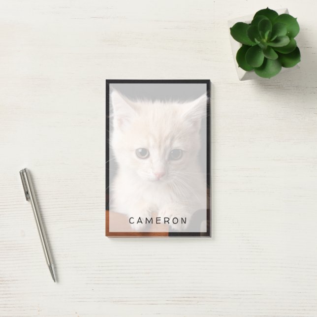 Cutest Baby Animals | Ginger Kitten Post-it Notes (Office)