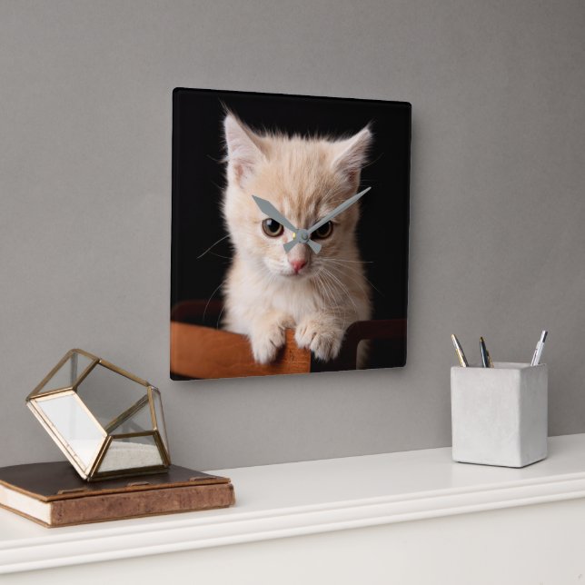 Cutest Baby Animals | Ginger Kitten Square Wall Clock (Office)