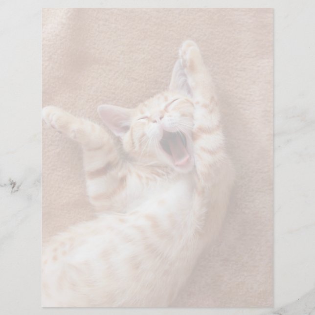 Cutest Baby Animals | Ginger Kitten Yawning (Front)