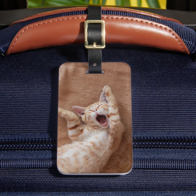 Cutest Baby Animals | Ginger Kitten Yawning Luggage Tag (Front Insitu 2)