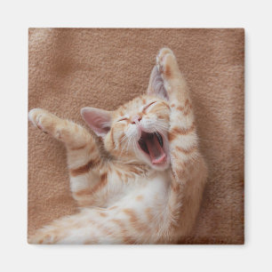 Cutest Baby Animals   Ginger Kitten Yawning Magnet