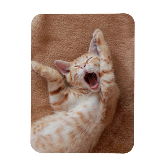 Cutest Baby Animals | Ginger Kitten Yawning Magnet (Vertical)