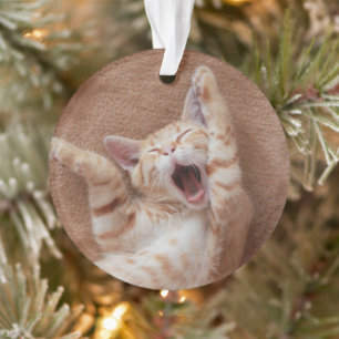 Cutest Baby Animals   Ginger Kitten Yawning Ornament