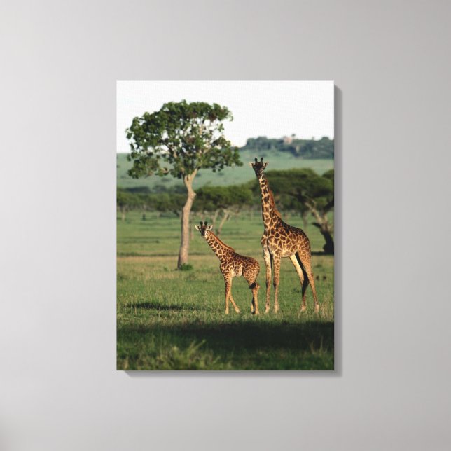Cutest Baby Animals | Giraffe Calf & Mama Canvas Print (Front)