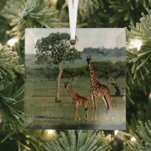 Cutest Baby Animals Giraffe Calf & Mama Glass Tree Decoration