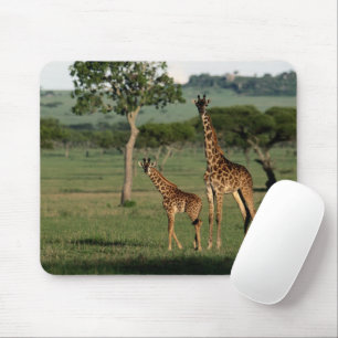 Cutest Baby Animals   Giraffe Calf & Mama Mouse Pad
