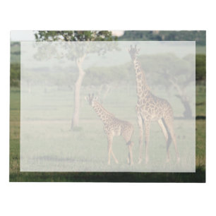 Cutest Baby Animals Giraffe Calf & Mama Notepad