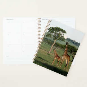 Cutest Baby Animals   Giraffe Calf & Mama Planner