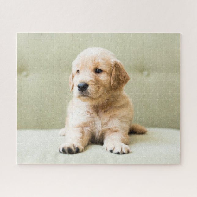 Cutest Baby Animals | Golden Retriever Puppy Jigsaw Puzzle (Horizontal)
