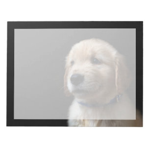 Cutest Baby Animals   Golden Retriever Puppy Notepad