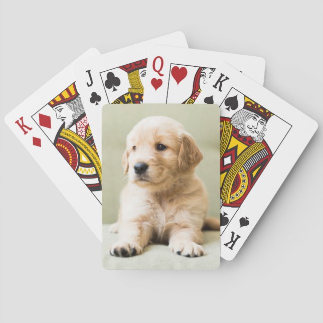Cutest Baby Animals | Golden Retriever Puppy Playing Cards (Back)