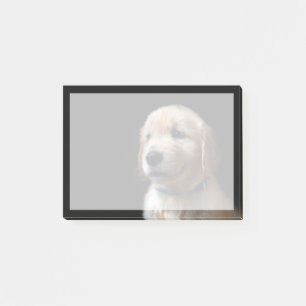 Cutest Baby Animals Golden Retriever Puppy Post-it Notes