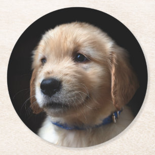 Cutest Baby Animals   Golden Retriever Puppy Round Paper Coaster
