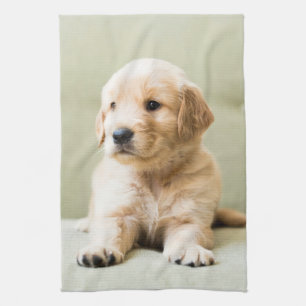 Cutest Baby Animals Golden Retriever Puppy Tea Towel