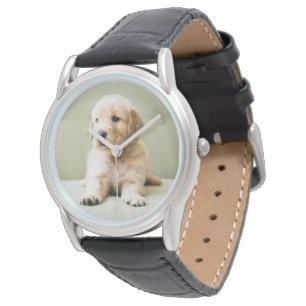 Cutest Baby Animals   Golden Retriever Puppy Watch