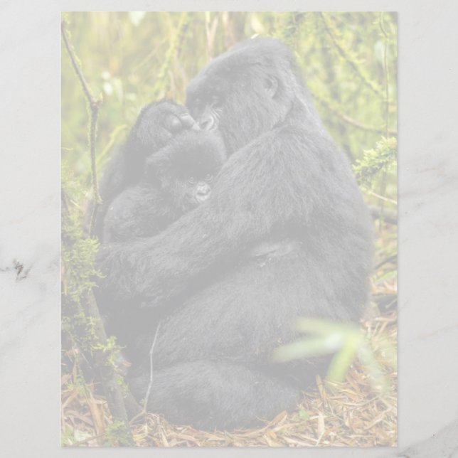 Cutest Baby Animals | Gorilla & Baby (Front)