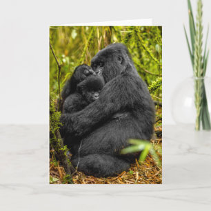 Cutest Baby Animals   Gorilla & Baby Card