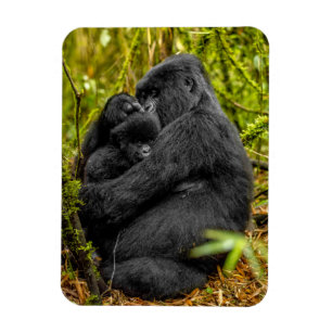Cutest Baby Animals Gorilla & Baby Magnet