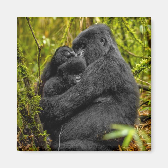 Cutest Baby Animals | Gorilla & Baby Magnet (Front)