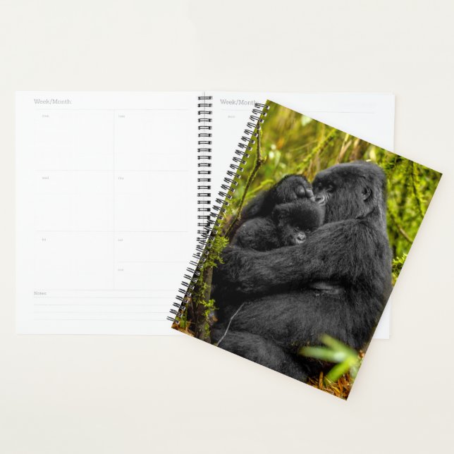 Cutest Baby Animals | Gorilla & Baby Planner (Display)