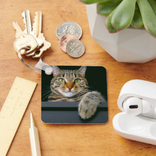 Cutest Baby Animals   Gray Tabby Cat Face Key Ring