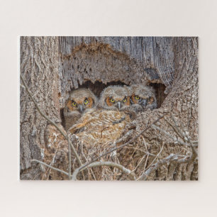 Cutest Baby Animals   Great Horned Chicks Jigsaw Puzzle