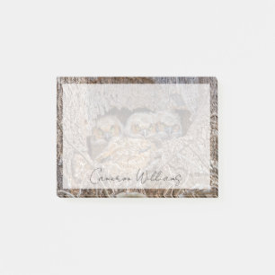 Cutest Baby Animals   Great Horned Chicks Post-it Notes