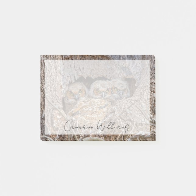 Cutest Baby Animals | Great Horned Chicks Post-it Notes (Front)