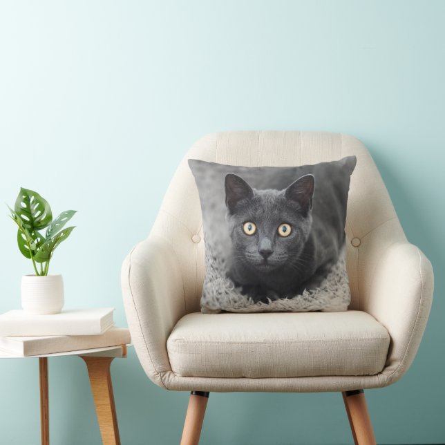 Cutest Baby Animals | Grey Cat Cushion (Chair)