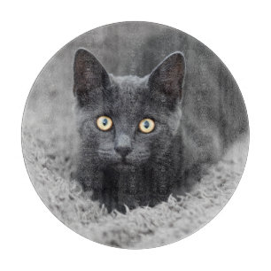 Cutest Baby Animals Grey Cat Cutting Board
