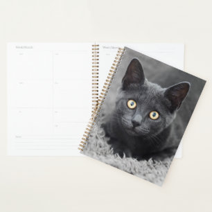 Cutest Baby Animals   Grey Cat Planner