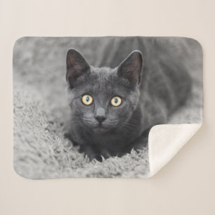 Cutest Baby Animals   Grey Cat Sherpa Blanket