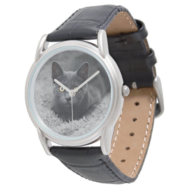Cutest Baby Animals | Grey Cat Watch (Angled)