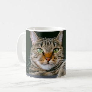 Cutest Baby Animals Grey Tabby Cat Face Coffee Mug