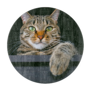 Cutest Baby Animals Grey Tabby Cat Face Cutting Board