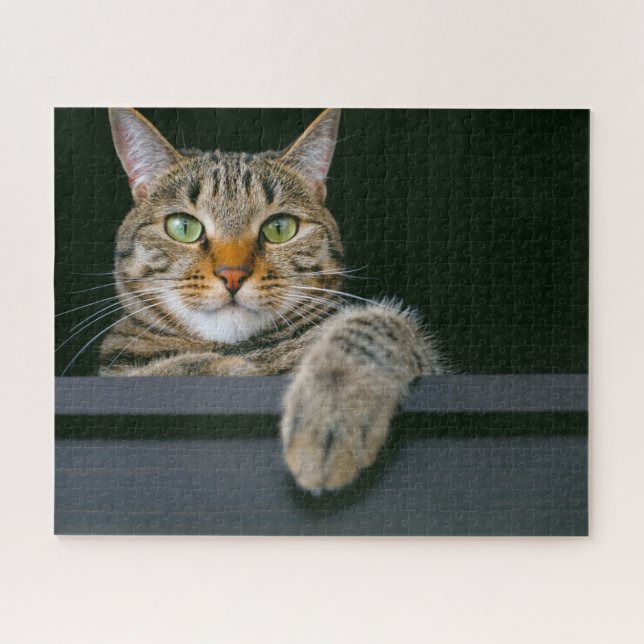 Cutest Baby Animals | Grey Tabby Cat Face Jigsaw Puzzle (Horizontal)
