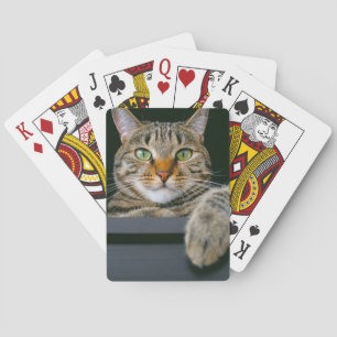 Cutest Baby Animals Grey Tabby Cat Face Playing Cards