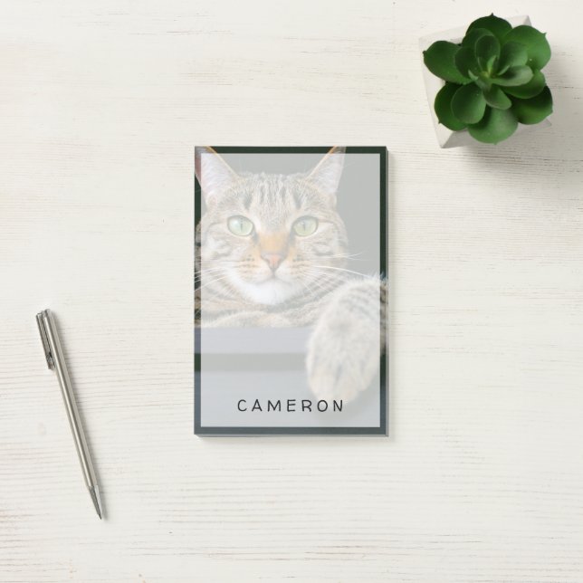 Cutest Baby Animals | Grey Tabby Cat Face Post-it Notes (Office)