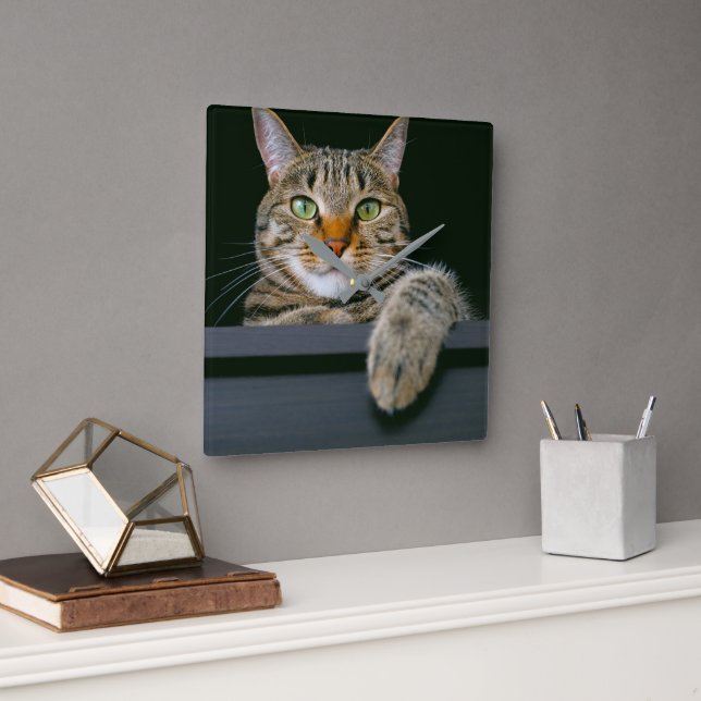 Cutest Baby Animals | Grey Tabby Cat Face Square Wall Clock (Office)