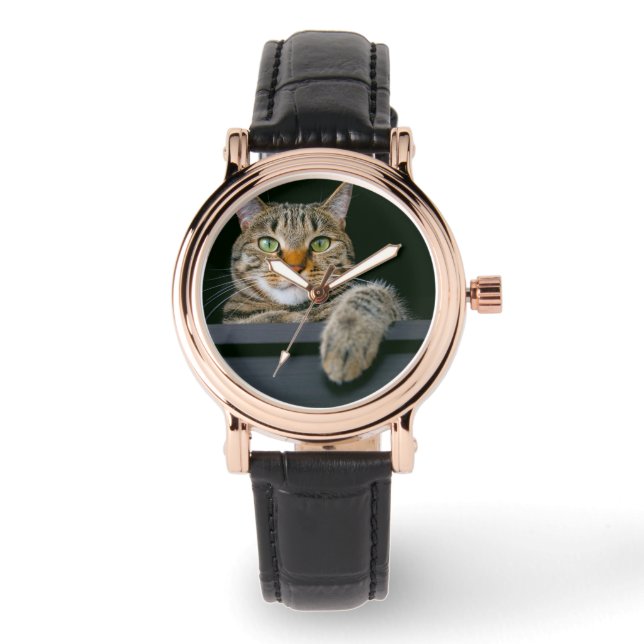 Cutest Baby Animals | Grey Tabby Cat Face Watch (Front)